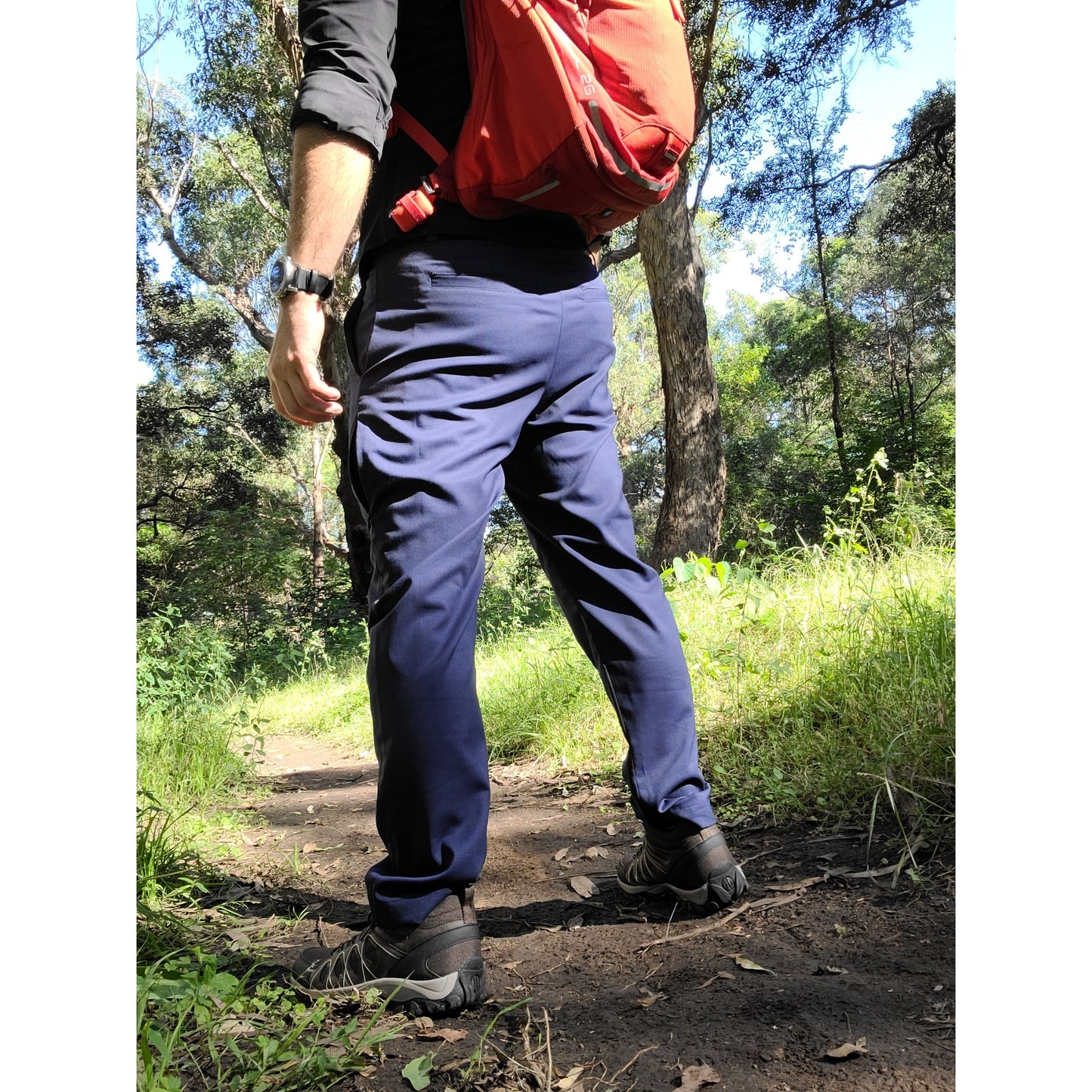 Merino Wool Chino in Blue/Grey/Black